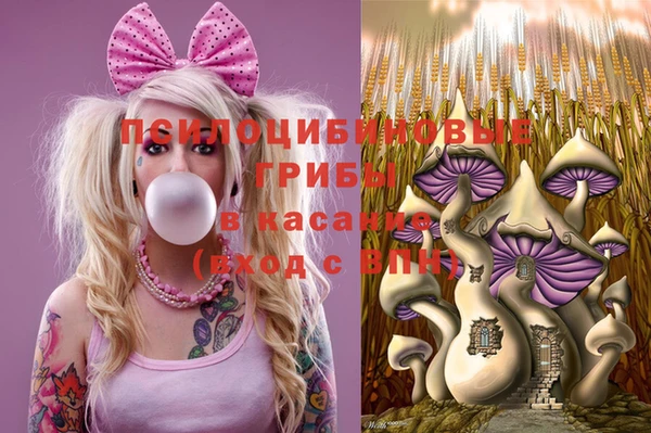 соль ск Арсеньев