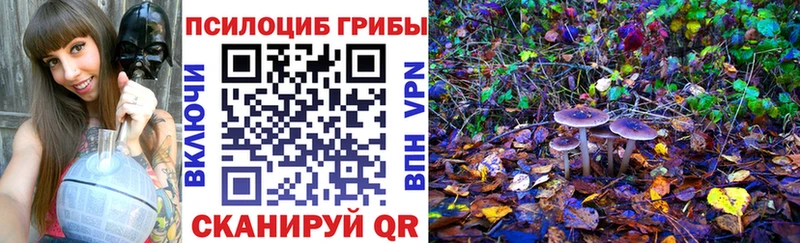 Галлюциногенные грибы Magic Shrooms  даркнет сайт  Канаш 